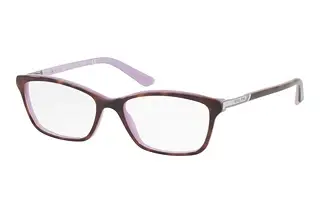 Ralph RA7044 1038 Dark Havana