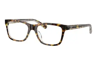 Ray-Ban Kids RY1536 3602 Dark Havana
