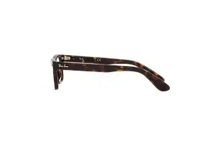 Seitenansicht Ray-Ban Kids JUNIOR BURBANK (RY9083V - 3887)