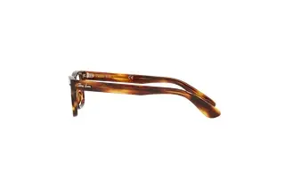 Seitenansicht Ray-Ban Kids JUNIOR BURBANK (RY9083V - 3888)
