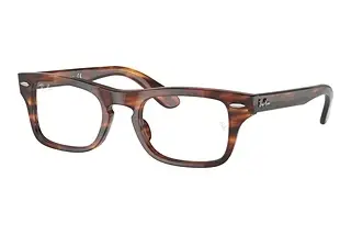 Vorderansicht Ray-Ban Kids JUNIOR BURBANK (RY9083V - 3888)