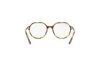 Rückansicht Ray-Ban Kids JUNIOR THALIA (RY9095V - 3685)