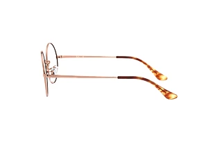 Seitenansicht Ray-Ban OVAL (RX1970V - 2943)