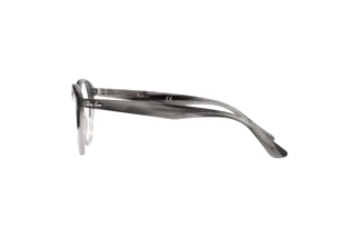 Seitenansicht Ray-Ban RX2180V (8106)