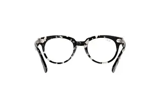 Rückansicht Ray-Ban RX2199V (8117)