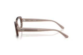 Seitenansicht Ray-Ban RX2221V (8457)