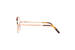 Seitenansicht Ray-Ban NEW AVIATOR (RX3625V - 3094)