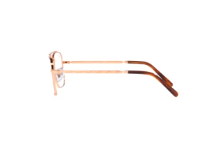 Seitenansicht Ray-Ban NEW CARAVAN (RX3636V - 3094)
