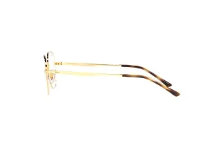Seitenansicht Ray-Ban RX3682V (2500)