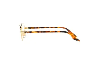 Seitenansicht Ray-Ban RX3690V (2500)