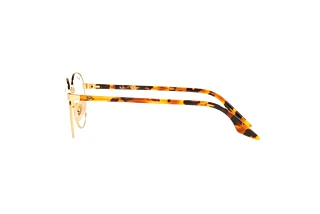 Seitenansicht Ray-Ban RX3691V (2500)