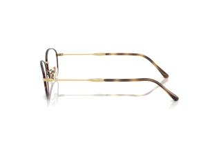 Seitenansicht Ray-Ban RX3749V (3177)