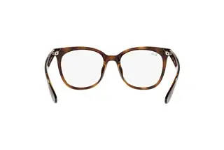 Rückansicht Ray-Ban RX4379VD (2012)
