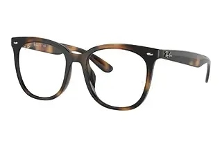 Ray-Ban RX4379VD 2012