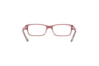 Rückansicht Ray-Ban RX5169 (8120)