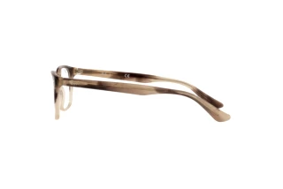 Seitenansicht Ray-Ban RX5375 (8107)