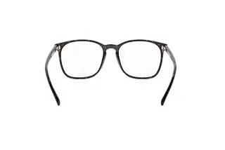 Rückansicht Ray-Ban RX5387 (2012)
