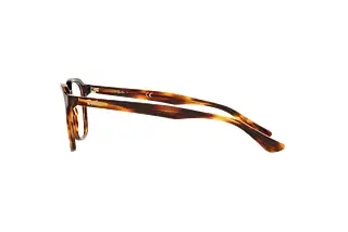 Seitenansicht Ray-Ban RX5390 (2144)