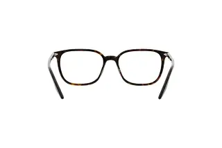 Rückansicht Ray-Ban RX5406 (2012)