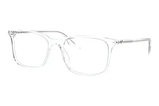 Ray-Ban RX5421 2001