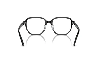 Rückansicht Ray-Ban RX5424D (2000)