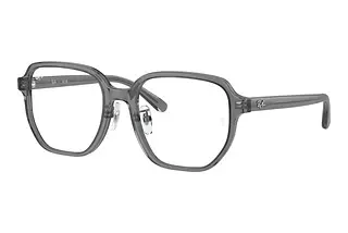 Ray-Ban RX5424D 8268 Transparent Grey