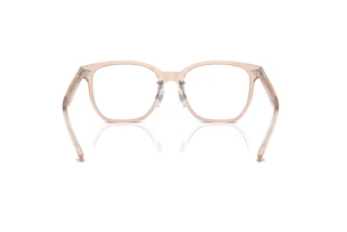 Rückansicht Ray-Ban RX5425D (8267)