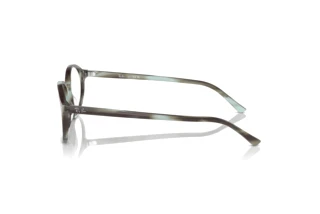Seitenansicht Ray-Ban GERMAN (RX5429 - 8356)