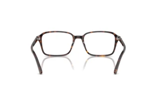 Rückansicht Ray-Ban RAIMOND (RX5431 - 2012)