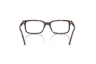 Rückansicht Ray-Ban RX5445 (2012)