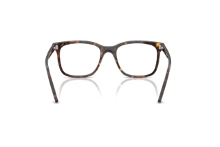 Rückansicht Ray-Ban RX5446 (2012)