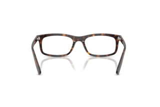 Rückansicht Ray-Ban RX5450 (2012)