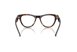 Rückansicht Ray-Ban RX5510 (2012)