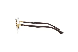 Seitenansicht Ray-Ban RX6487 (2905)