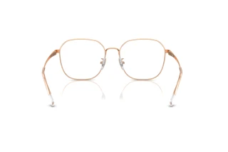 Rückansicht Ray-Ban RX6490D (3094)