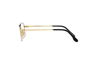 Seitenansicht Ray-Ban RX6495 (2991)