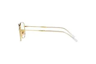 Seitenansicht Ray-Ban RX6496 (2500)