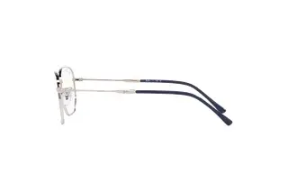 Seitenansicht Ray-Ban RX6496 (2501)