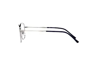 Seitenansicht Ray-Ban RX6497 (2501)