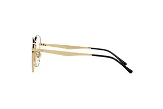 Seitenansicht Ray-Ban RX6503D (2991)