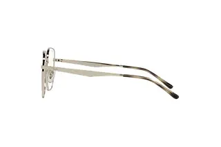 Seitenansicht Ray-Ban RX6503D (2993)