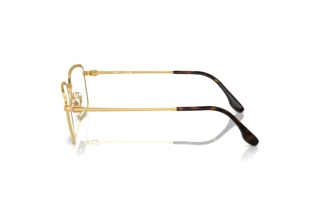 Seitenansicht Ray-Ban RX6511 (2500)