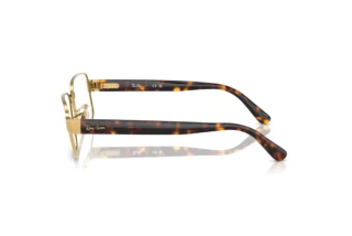 Seitenansicht Ray-Ban RX6529 (2500)