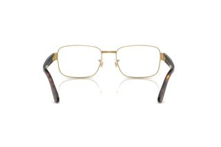 Rückansicht Ray-Ban RX6529 (2500)