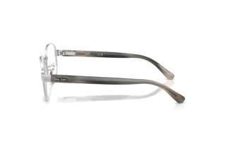 Seitenansicht Ray-Ban RX6543 (2501)