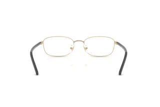 Rückansicht Ray-Ban RX6551D (2993)