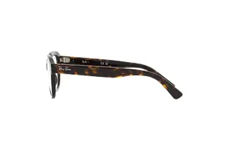 Seitenansicht Ray-Ban ERIK (RX7215 - 2012)