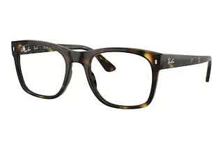 Ray-Ban RX7228 2012