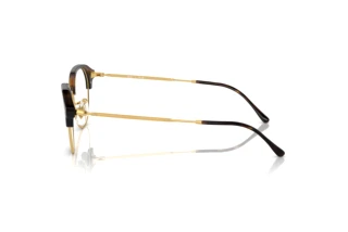 Seitenansicht Ray-Ban RX7229 (2012)