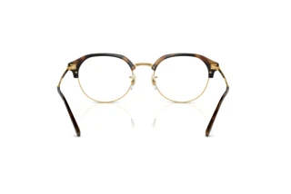 Rückansicht Ray-Ban RX7229 (2012)